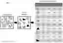 Fig. 03 - Method for comparative visualization of image analysis features of tissue