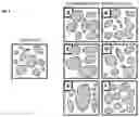 Fig. 05 - Method for comparative visualization of image analysis features of tissue