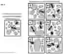 Fig. 08 - Method for comparative visualization of image analysis features of tissue