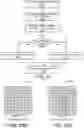 Fig. 30 - Removal of projection noise and point-based rendering