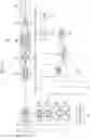 Fig. 12 - Image processing apparatus, imaging apparatus, image processing method, and program