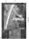 Fig. 03 - Optimizing images for three-dimensional model construction