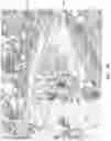 Fig. 04 - Optimizing images for three-dimensional model construction