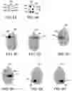 Fig. 04 - Braille reading using fingerprint scanner and varying vibration frequencies
