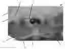 Fig. 01 - TRAINING MODEL FOR MEDICAL APPLICATIONS