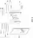 Fig. 13 - System and method for installing a transparent organic lighting diode (TOLED) display on architectural glass