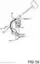Fig. 03 - Pedal apparatus for percussion instrument