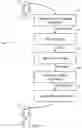 Fig. 13 - VISUALLY PRESENTING INFORMATION RELEVANT TO A NATURAL LANGUAGE CONVERSATION