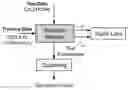 Fig. 01 - Systems and methods for a triplet network with attention for speaker diartzation