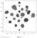 Fig. 04 - Systems and methods for a triplet network with attention for speaker diartzation