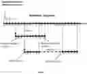 Fig. 02 - Method and apparatus for the access to bioinformatics data structured in access units