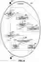 Fig. 13 - DIAGNOSITIC AND TREATMETNT TOOL AND METHOD FOR ELECTRONIC RECORDING AND INDEXING PATIENT ENCOUNTERS FOR ALLOWING INSTANT SEARCH OF PATIENT HISTORY