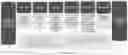 Fig. 01 - METHODS FOR APPLYING ADVANCED MULTI-STEP ANALYTICS TO GENERATE TREATMENT PLAN DATA AND DEVICES THEREOF