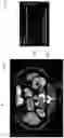 Fig. 09 - Systems and methods for improved analysis and generation of medical imaging reports
