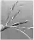 Fig. 02 - Cable for power-over-ethernet having an extended usable length