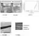 Fig. 05 - High performance nano/micro composite fiber capable of storing electrical energy and method for fabricating thereof