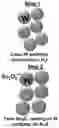 Fig. 01 - Thermionic tungsten/scandate cathodes and method of making the same