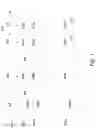 Fig. 04 - Data processing of electron beam lithography system