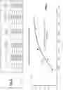Fig. 08 - Compensating chamber and process effects to improve critical dimension variation for trim process