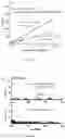 Fig. 11 - Ion resonance excitation operation method and device by applying a quadrupolar electric field combined with a dipolar electric field