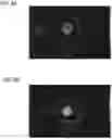 Fig. 10 - Short pulse fiber laser for LTPS crystallization