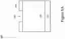 Fig. 10 - FOCUS RING FOR PLASMA ETCHER