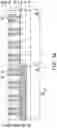 Fig. 10 - FinFET device and methods of forming the same
