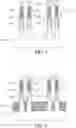 Fig. 05 - Vertical FET with various gate lengths by an oxidation process