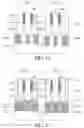 Fig. 14 - Vertical FET with various gate lengths by an oxidation process