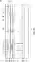 Fig. 11 - Wafer-level testing method and test structure thereof