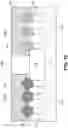 Fig. 18 - PITCH-DIVIDED INTERCONNECTS FOR ADVANCED INTEGRATED CIRCUIT STRUCTURE FABRICATION