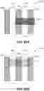 Fig. 85 - PITCH-DIVIDED INTERCONNECTS FOR ADVANCED INTEGRATED CIRCUIT STRUCTURE FABRICATION