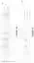Fig. 03 - Tamper detection in integrated circuits