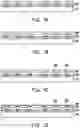 Fig. 02 - Package structure and bonding method thereof