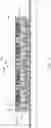 Fig. 14 - Integrated fan-out package including voltage regulators and methods forming same