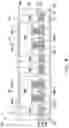 Fig. 12 - Package structure and method of fabricating the same