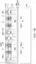 Fig. 19 - Package structure and method of fabricating the same