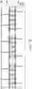 Fig. 20 - Semiconductor device and manufacturing method thereof