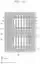 Fig. 13 - Semiconductor memory device