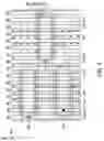 Fig. 05 - Semiconductor memory device