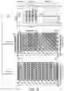 Fig. 16 - Semiconductor memory device