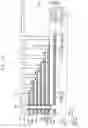 Fig. 16 - Vertical memory devices and methods of manufacturing the same