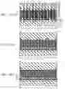 Fig. 32 - Semiconductor memory device and method for manufacturing the same
