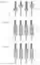 Fig. 09 - Active matrix substrate