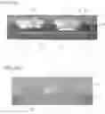Fig. 11 - Active matrix substrate