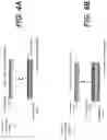Fig. 08 - Magnetoresistive stack with seed region and method of manufacturing the same
