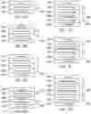 Fig. 06 - Multilayered seed structure for magnetic memory element including a CoFeB seed layer