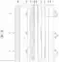 Fig. 05 - Electroluminescent display apparatus comprising multilayer electrode
