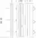 Fig. 09 - Electroluminescent display apparatus comprising multilayer electrode