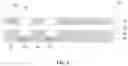 Fig. 02 - Display apparatus
